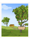 Apple Tree