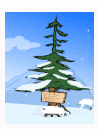 Snow Tree